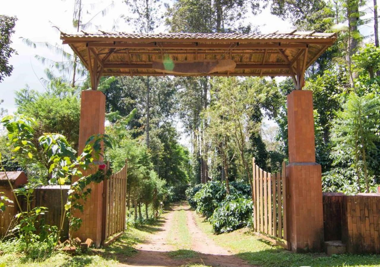 מלון מדיקרי Wanders In Travel Company מראה חיצוני תמונה